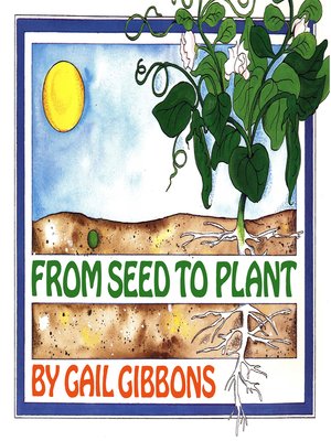 cover image of From Seed to Plant